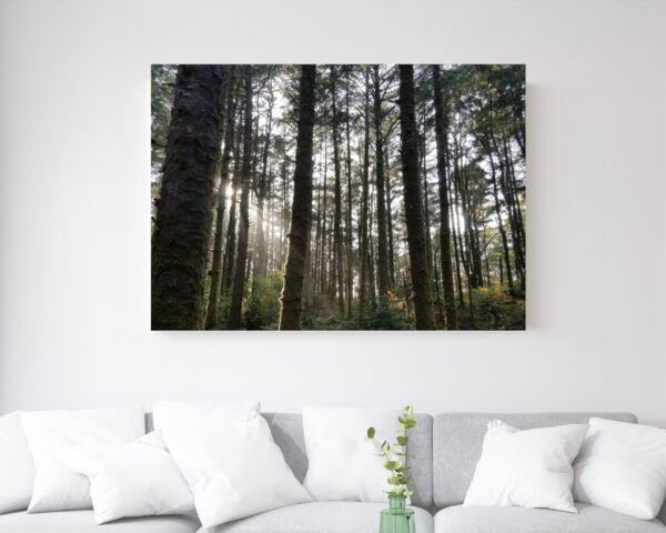 Tree Light - Image 2