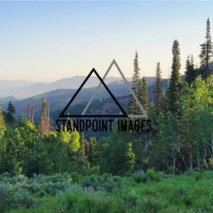 Mountain Light