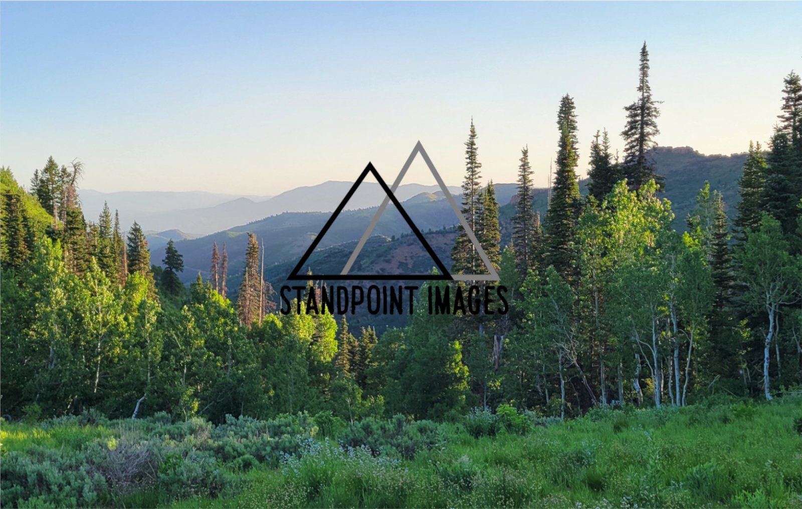 Mountain Light